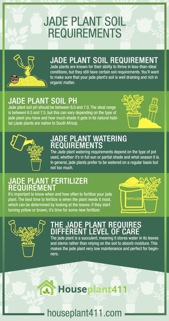 From Soggy To Serene: Master Jade Plant Soil & Watch Your Plant Thrive